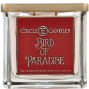 CircleE 43 oz. Assorted 4-Wicked Candles