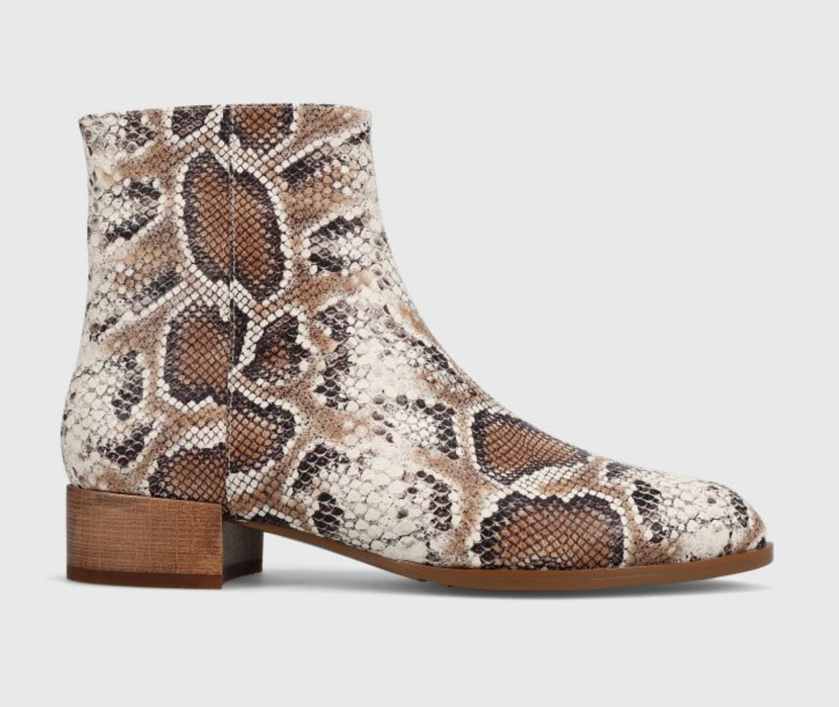 Vaneli Tahar Brown Roccia Snake Print