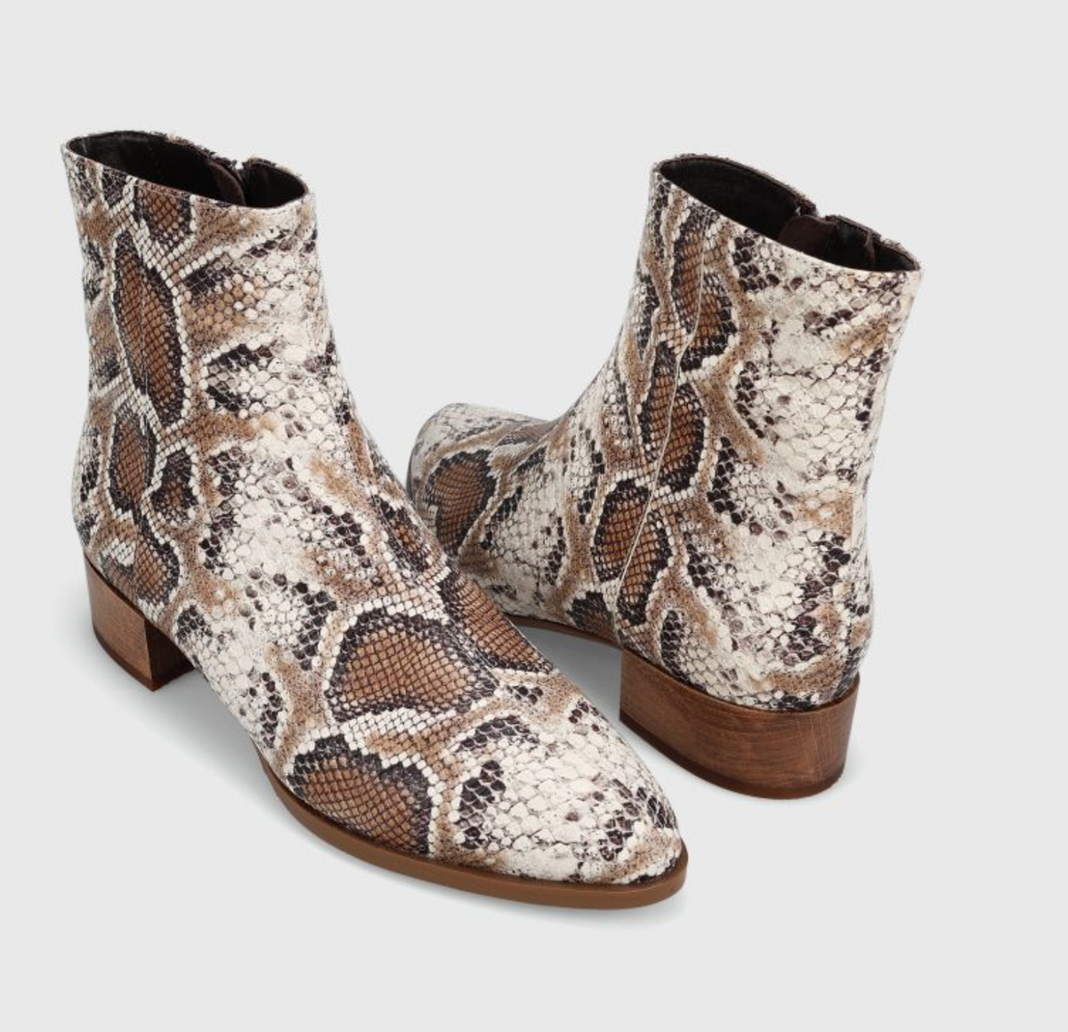 Vaneli Tahar Brown Roccia Snake Print